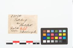 Etikett zu Bronzering (NHMW-PRAE-025150)